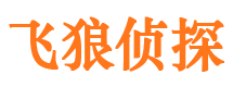 凌河市婚姻调查